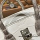 Hermes Birkin25cm Nilo Himalaya 01 Gold Hardware Full Handmade 001 Hermes Birkin25cm Nilo Himalaya 01 Gold Hardware Full Handmade 001