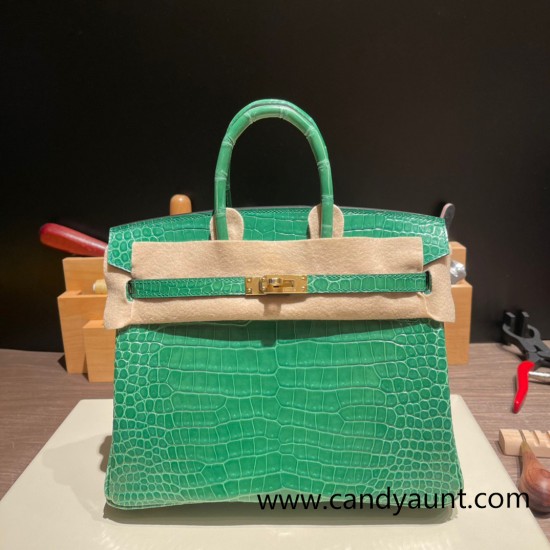 Hermes Birkin25 porous Crocodile 1L/Cactus Gold Hardware Full Handmade 003 Hermes Birkin25 porous Crocodile 1L/Cactus Gold Hardware Full Handmade 003