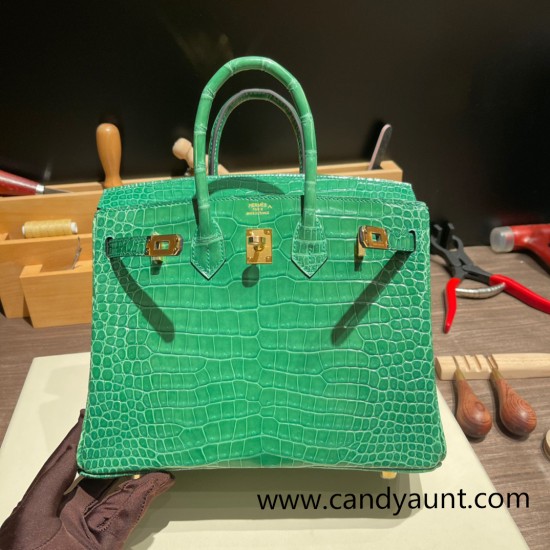 Hermes Birkin25 porous Crocodile 1L/Cactus Gold Hardware Full Handmade 003 Hermes Birkin25 porous Crocodile 1L/Cactus Gold Hardware Full Handmade 003