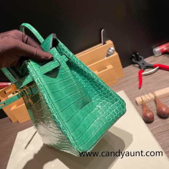 Hermes Birkin25 porous Crocodile 1L/Cactus Gold Hardware Full Handmade 003 Hermes Birkin25 porous Crocodile 1L/Cactus Gold Hardware Full Handmade 003