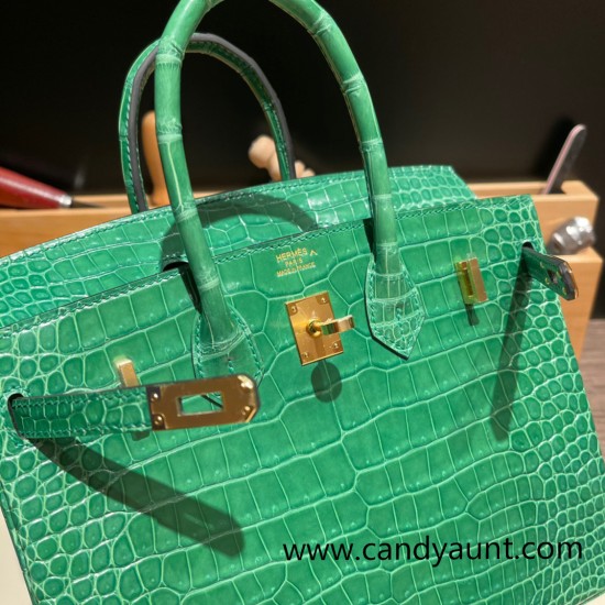 Hermes Birkin25 porous Crocodile 1L/Cactus Gold Hardware Full Handmade 003 Hermes Birkin25 porous Crocodile 1L/Cactus Gold Hardware Full Handmade 003