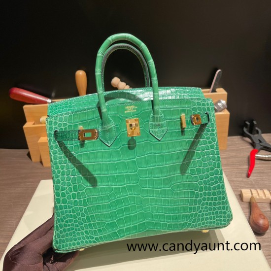 Hermes Birkin25 porous Crocodile 1L/Cactus Gold Hardware Full Handmade 003 Hermes Birkin25 porous Crocodile 1L/Cactus Gold Hardware Full Handmade 003
