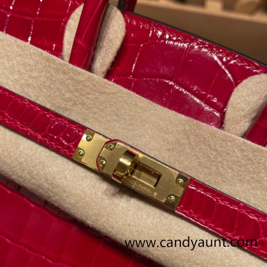 Hermes Birkin25 Crocodile Niloticus Q5/Rouse CasaqueGold Hardware Full Handmade 007 Hermes Birkin25 Crocodile Niloticus Q5/Rouse CasaqueGold Hardware Full Handmade 007