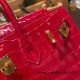 Hermes Birkin25 Crocodile Niloticus Q5/Rouse CasaqueGold Hardware Full Handmade 007 Hermes Birkin25 Crocodile Niloticus Q5/Rouse CasaqueGold Hardware Full Handmade 007