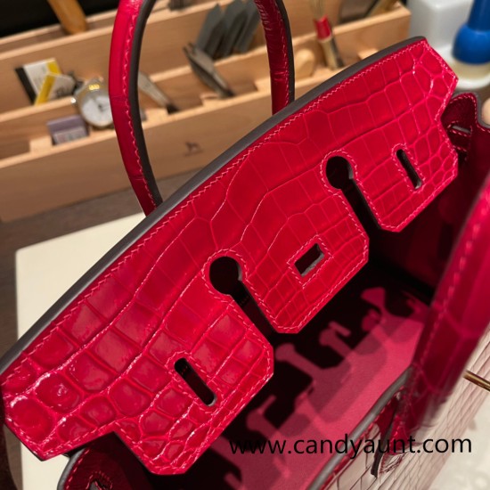 Hermes Birkin25 Crocodile Niloticus Q5/Rouse CasaqueGold Hardware Full Handmade 007 Hermes Birkin25 Crocodile Niloticus Q5/Rouse CasaqueGold Hardware Full Handmade 007