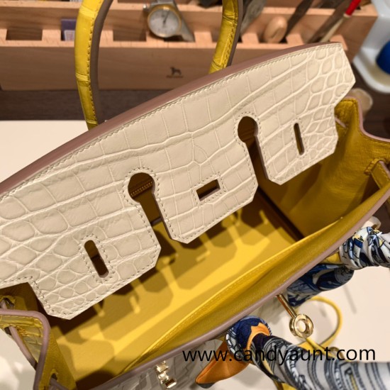 Hermes Birkin25 Crocodile Niloticus 80/Pearl Grey&16 /Taupe Grey Gold Hardware Full Handmade 011 Hermes Birkin25 Crocodile Niloticus 80/Pearl Grey&16 /Taupe Grey Gold Hardware Full Handmade 011