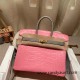 Birkin25 Alligator Crocodile 5P/Pink & 80/Pearl Grey Gold Hardware Full Handmade 014 Birkin25 Alligator Crocodile 5P/Pink & 80/Pearl Grey Gold Hardware Full Handmade 014
