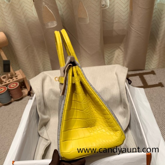 Birkin25 Alligator Crocodile 80/Pearl Grey& M9 mimosa Gold Hardware Full Handmade 015 Birkin25 Alligator Crocodile 80/Pearl Grey& M9 mimosa Gold Hardware Full Handmade 015