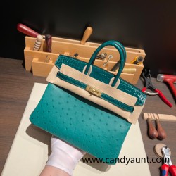 Birkin25 Ostrich Z6/Malachite& 6Q Vert Emeraude Gold Hardware Full Handmade 019