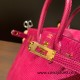 Hermes Birkin 25cm Lizard K5/Tosca Gold Hardware Full Handmade 035 Hermes Birkin 25cm Lizard K5/Tosca Gold Hardware Full Handmade 035