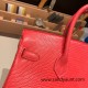 Hermes Birkin 25cm Lizard T5/Rose Jaipur Gold Hardware Full Handmade 036 Hermes Birkin 25cm Lizard T5/Rose Jaipur Gold Hardware Full Handmade 036