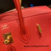 Hermes Birkin 25cm togo S3 /Rouge Cœur Gold Hardware Full Handmade 157