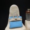 【NEW】 HERMES Birkin 25 Togo  P3 Blue du Nord ×10 Craie   Gold 