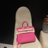 【NEW】 HERMES Birkin 25 Togo  E5 Rose Tyrien ×S3 Rouge Cœur Silver