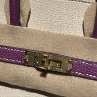 【NEW】 HERMES Birkin 25 Togo  10 Craie ×P9 Anemone    Gold 