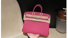 Birkin25CM