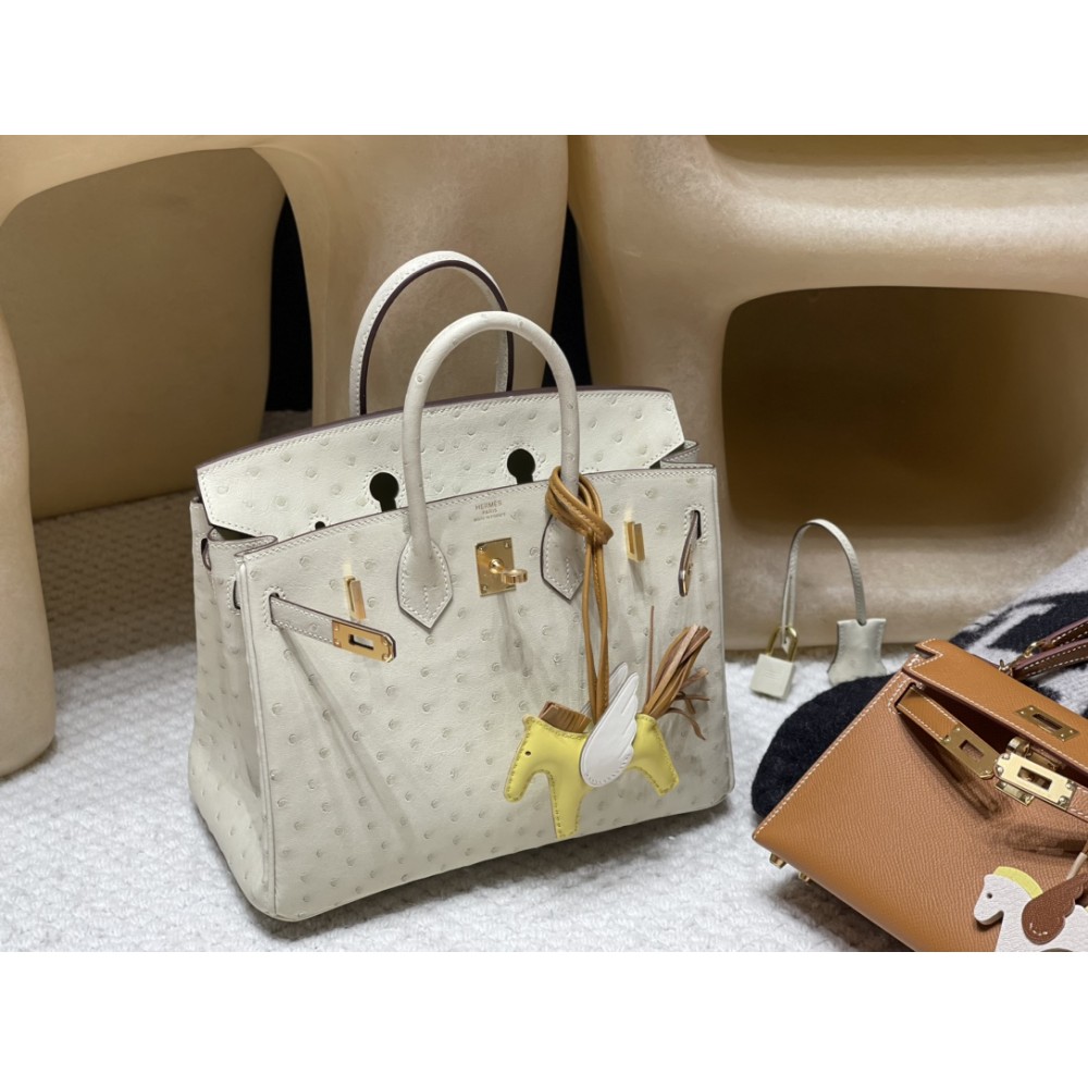 Hermès Birkin Ostrich 25cm High-End Custom-Made Birkin 25cm South African KK Ostrich Parchemin｜A color tone with the finest beauty and elegance among ostrich white-based colors! Gold Hardware  