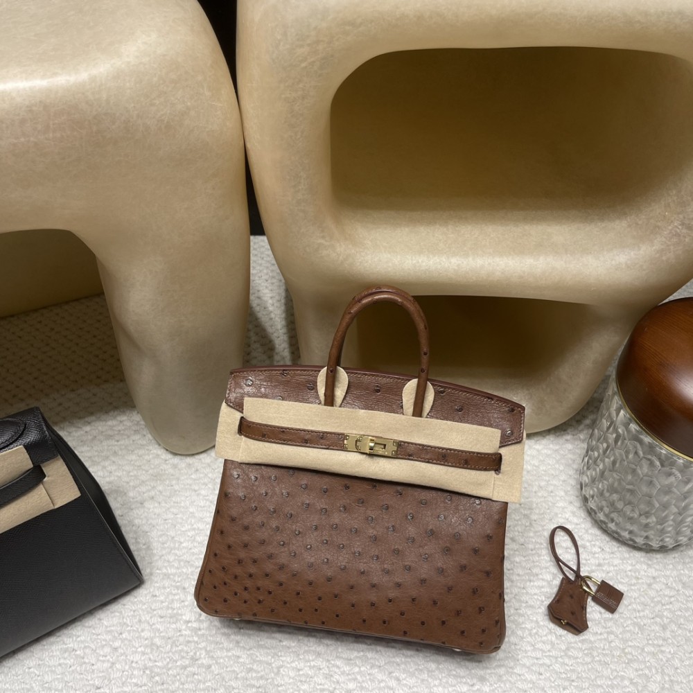 6C/Cuivre Gold Hardware Hermès Birkin Ostrich 25cm High-End Custom-Made 25 Birkin South African KK Ostrich  