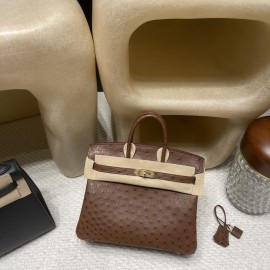 6C/Cuivre Gold Hardware Hermès Birkin Ostrich 25cm High-End Custom-Made 25 Birkin South African KK Ostrich  