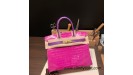 Birkin Crocodile