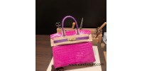 Birkin Crocodile