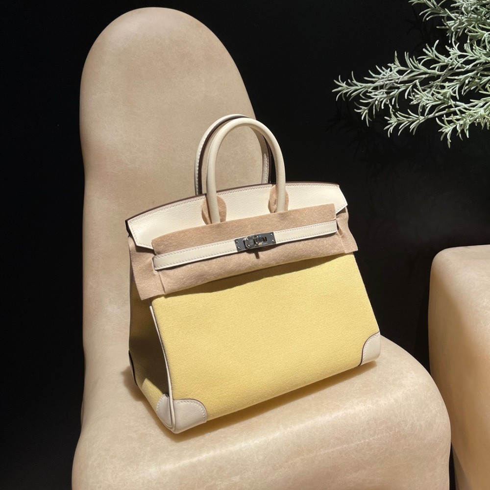 Hermès Birkin Triomphe H 25 (Canvas & Swift Leather) – The Ultimate Combination Swift Leather / Nata with Silver Hardware