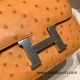 Hermes Constance 19cm ostrich 9H/ Soleil Silver Hardware 18cm Full Handmade Hermes Constance 19cm ostrich 9H/ Soleil Silver Hardware 18cm Full Handmade