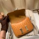 Hermes Constance 19cm ostrich 9H/ Soleil Silver Hardware 18cm Full Handmade Hermes Constance 19cm ostrich 9H/ Soleil Silver Hardware 18cm Full Handmade