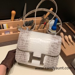 Hermes Constance 24cm Matte Crocodile Niloti 01/ Himalaya Silver Hardware
