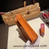 HERMES TPM Mini Evelyn Clemence 2S /Sesame GoldHardware
