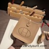 HERMES TPM Mini Evelyn Clemence Q1 /Sauge SilverHardware  