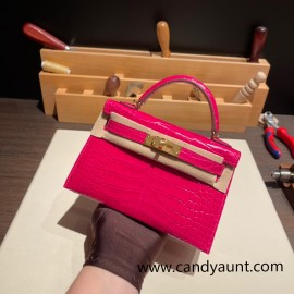 Hermes kelly20 Alligateor Crocodile 19cm 4G /Brulee Gold Hardware Full Handmade kellymini-097
