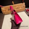 Hermes kelly20 Alligateor Crocodile 19cm 4G /Brulee Gold Hardware Full Handmade kellymini-097