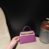 Gold HardwareP9 /Anemone  Epsom   Full Handmade   Kelly mini  