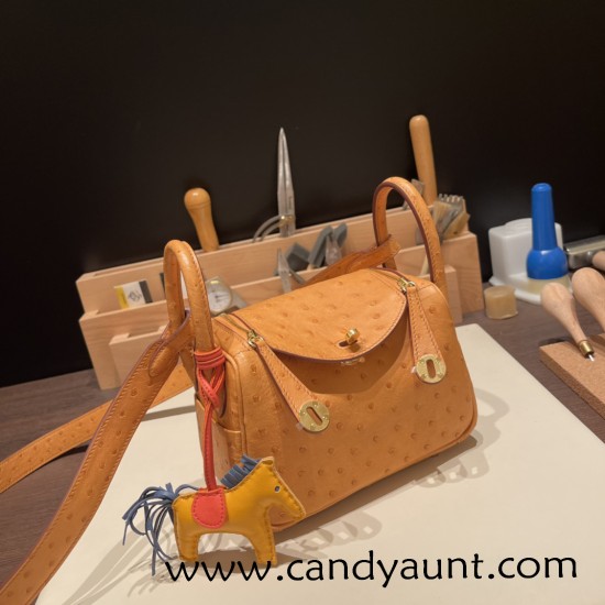 Hermes Mini Lindy Ostrich 37 /Gold Gold Hardware 001 Hermes Mini Lindy Ostrich 37 /Gold Gold Hardware 001