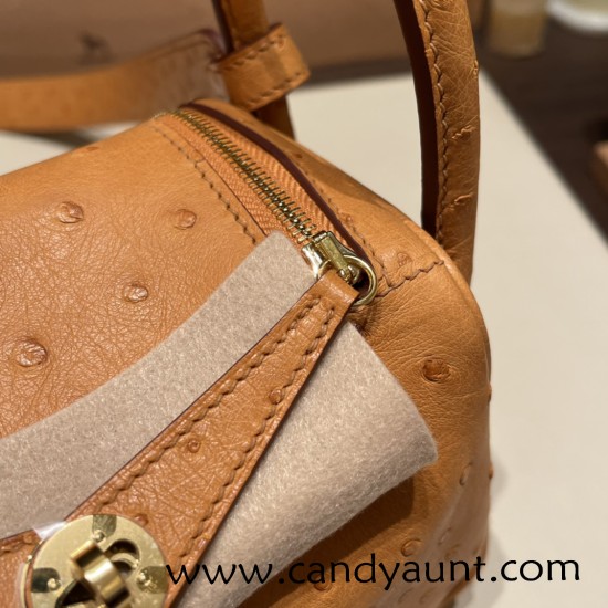 Hermes Mini Lindy Ostrich 37 /Gold Gold Hardware 001 Hermes Mini Lindy Ostrich 37 /Gold Gold Hardware 001