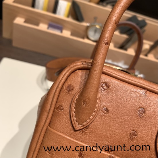 Hermes Mini Lindy Ostrich 37 /Gold Gold Hardware 002 Hermes Mini Lindy Ostrich 37 /Gold Gold Hardware 002
