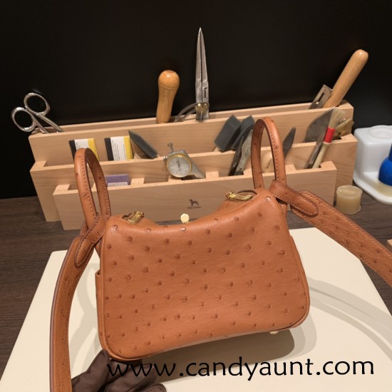 Hermes Mini Lindy Ostrich 37 /Gold Gold Hardware 002 Hermes Mini Lindy Ostrich 37 /Gold Gold Hardware 002