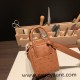 Hermes Mini Lindy Ostrich 37 /Gold Gold Hardware 002 Hermes Mini Lindy Ostrich 37 /Gold Gold Hardware 002