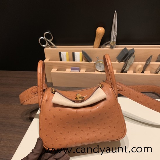 Hermes Mini Lindy Ostrich 37 /Gold Gold Hardware 002 Hermes Mini Lindy Ostrich 37 /Gold Gold Hardware 002