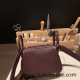 Hermes Mini Lindy Clemence 0G /Rouge Sellier Silver Hardware 087 Hermes Mini Lindy Clemence 0G /Rouge Sellier Silver Hardware 087