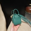 【Mini Lindy Clemence（TC）U4 Vert Vertigo  