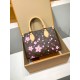 免税版 M13269G 全鋼製 ルイ・ヴィトン × 村上隆 コラボ OnTheGo スモールハンドバッグ 桜柄 19×11.5×25 cm 免税版 M13269G 全鋼製 ルイ・ヴィトン × 村上隆 コラボ OnTheGo スモールハンドバッグ 桜柄 19×11.5×25 cm