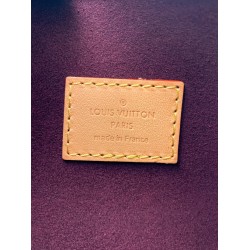 M46203 全鋼 CarryAll スモールハンドバッグ｜Monogram キャンバスと革のブレンドで都市生活に最適な実用逸品 29×24×12cm  