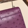 Hermès Verrou Mini 17cm Ostrich P9/Anemone Silver Hardware Verrou-021 Fully Hand-Stitched